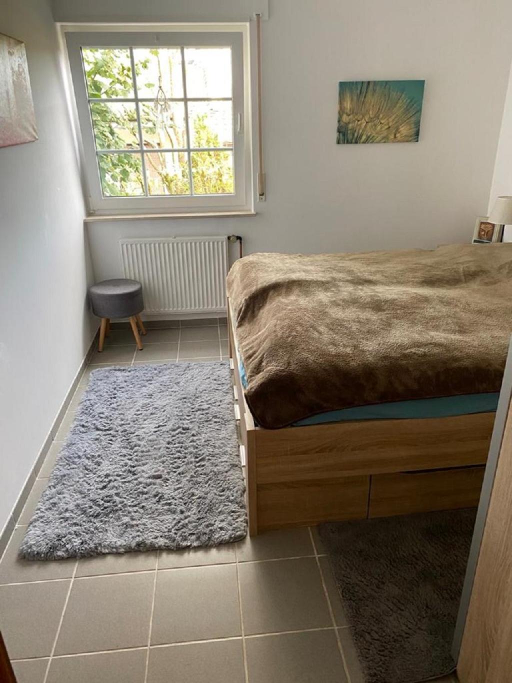 Ferienhaus Glueckspilz Beim Hennesee Meschede Eksteriør bilde