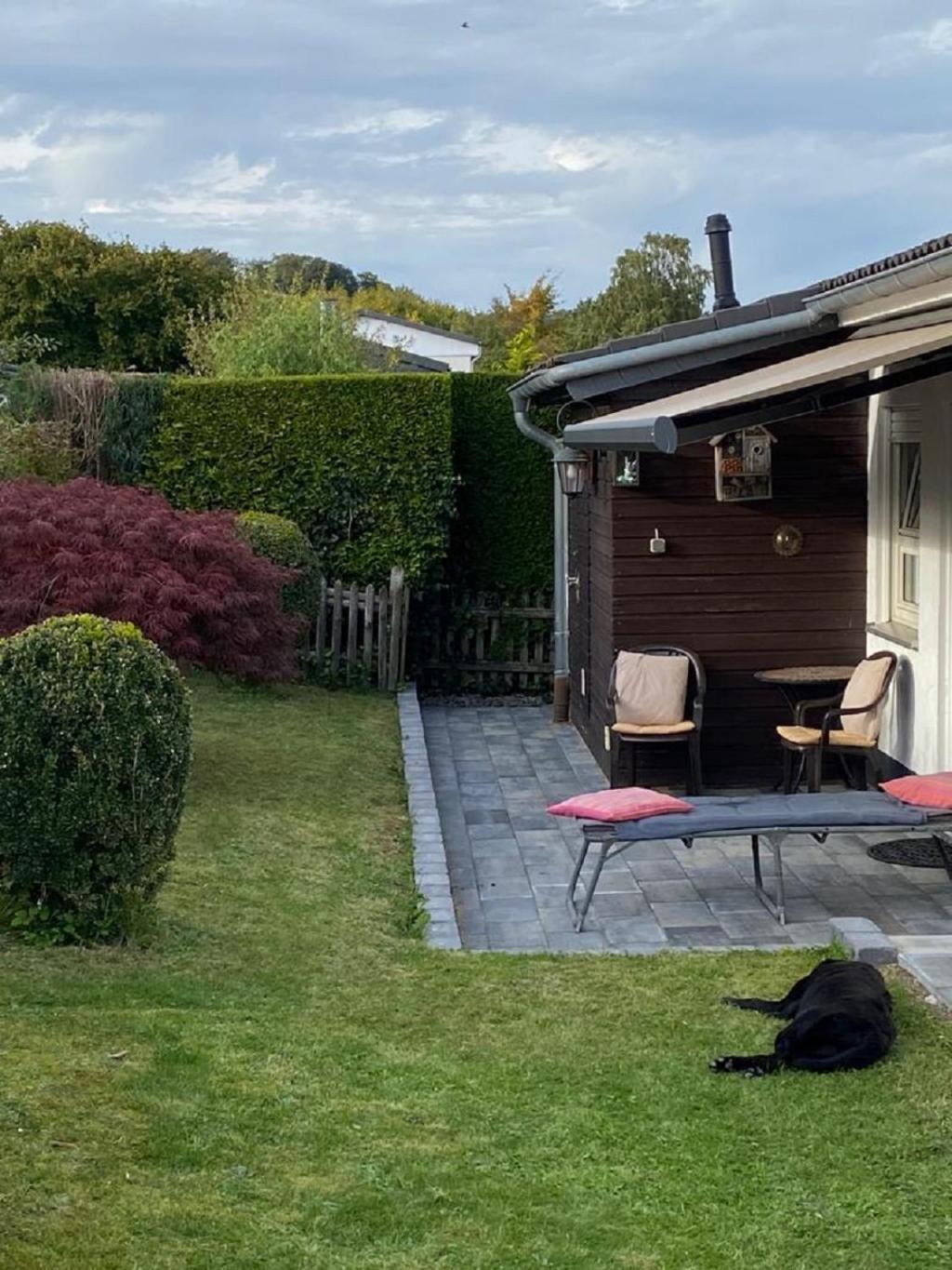 Ferienhaus Glueckspilz Beim Hennesee Meschede Eksteriør bilde